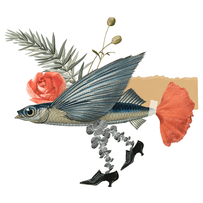 Fish-Vogel