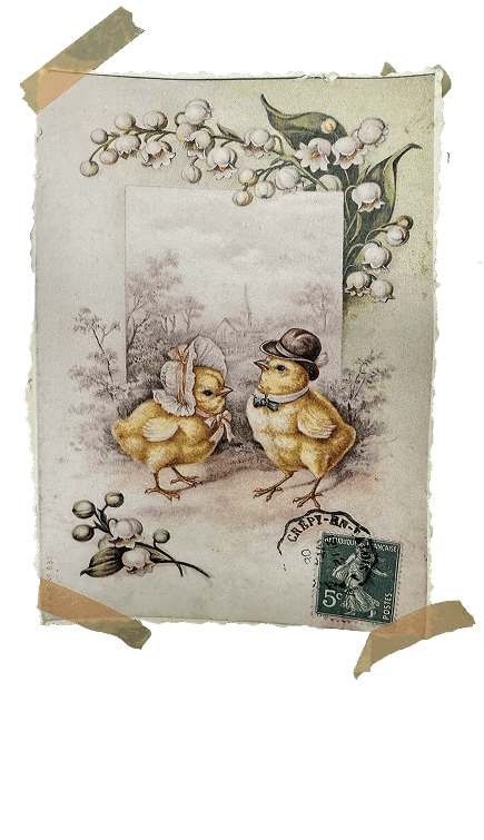 Postcard