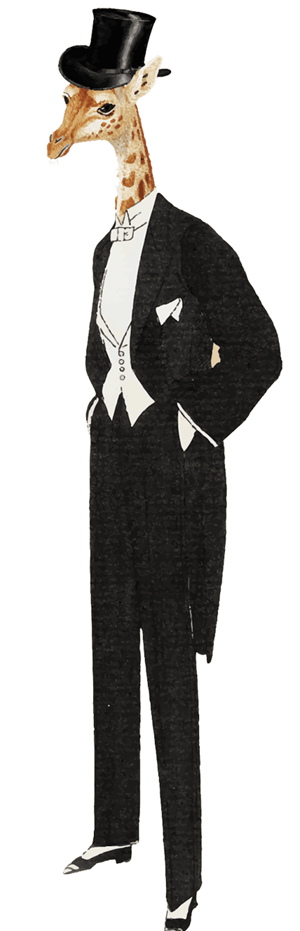 Giraffe im Smoking